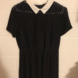 Black dress with Peter Pan collar